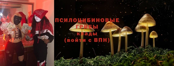COCAINE Козельск