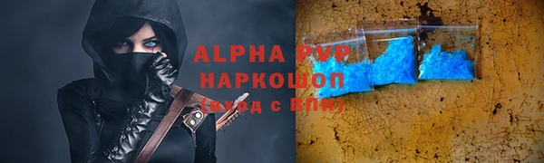 СК Кодинск
