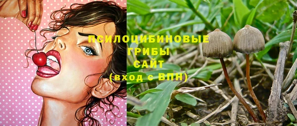 альфа пвп Козловка