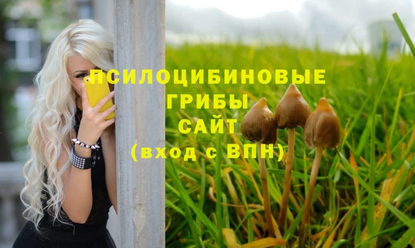 альфа пвп Козловка